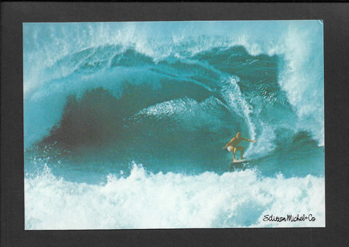 Wellenreiter surfer - ak,