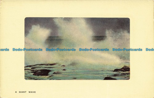 R652413 giant wave der - r652413, a